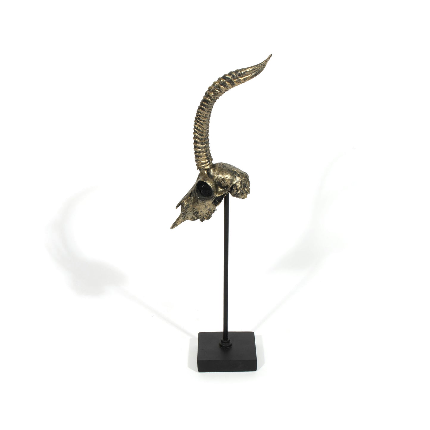 Mazi Decorative Skull