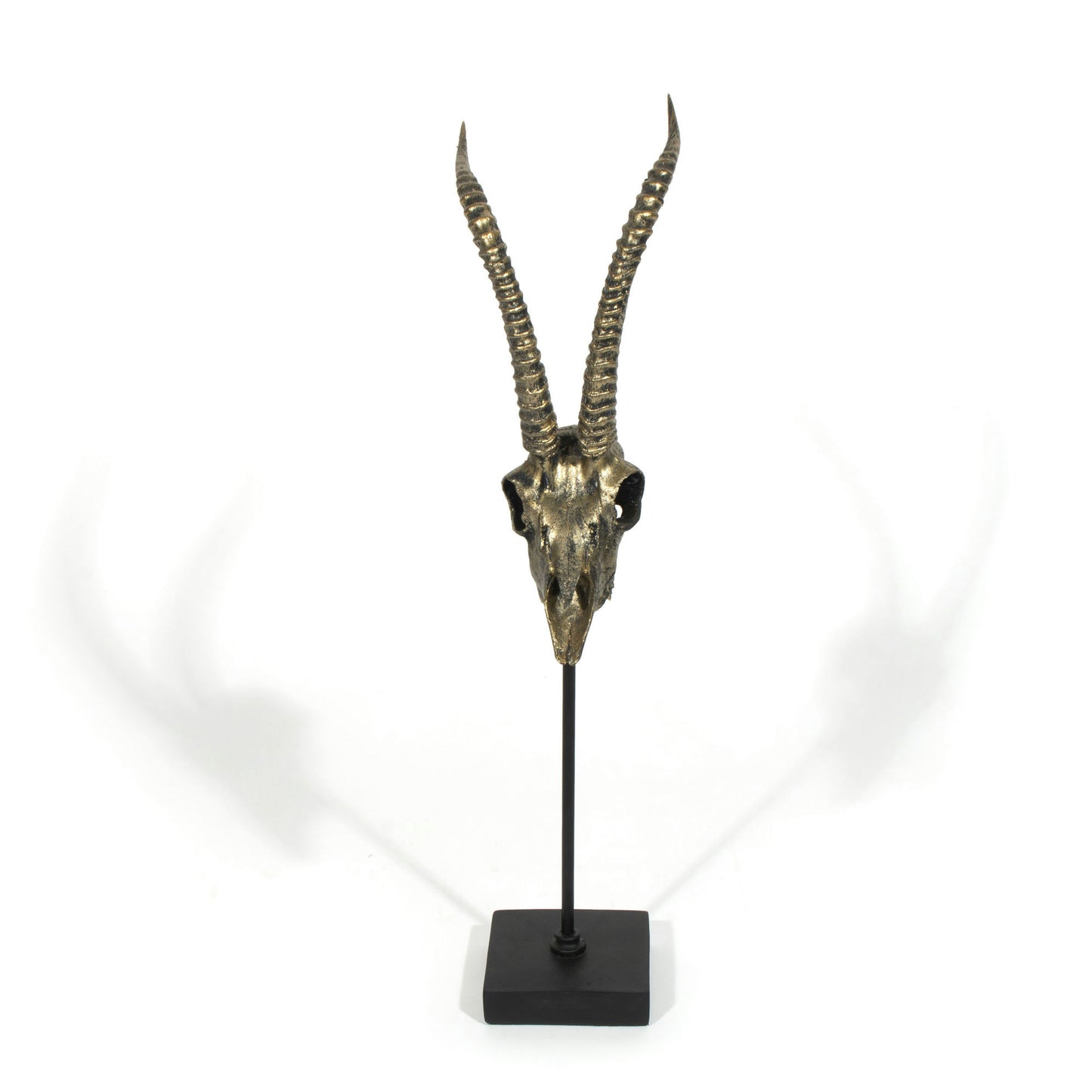 Mazi Decorative Skull