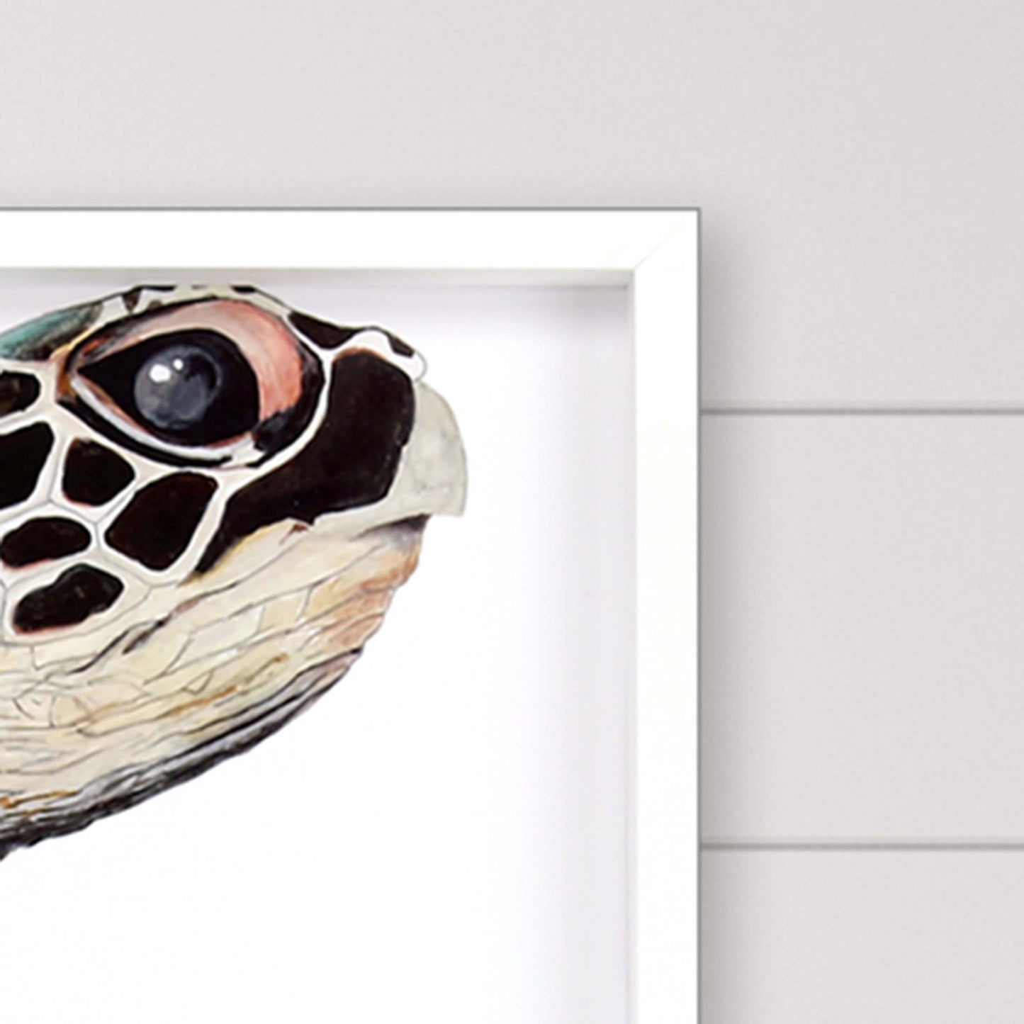 Paragon Great Sea Turtle