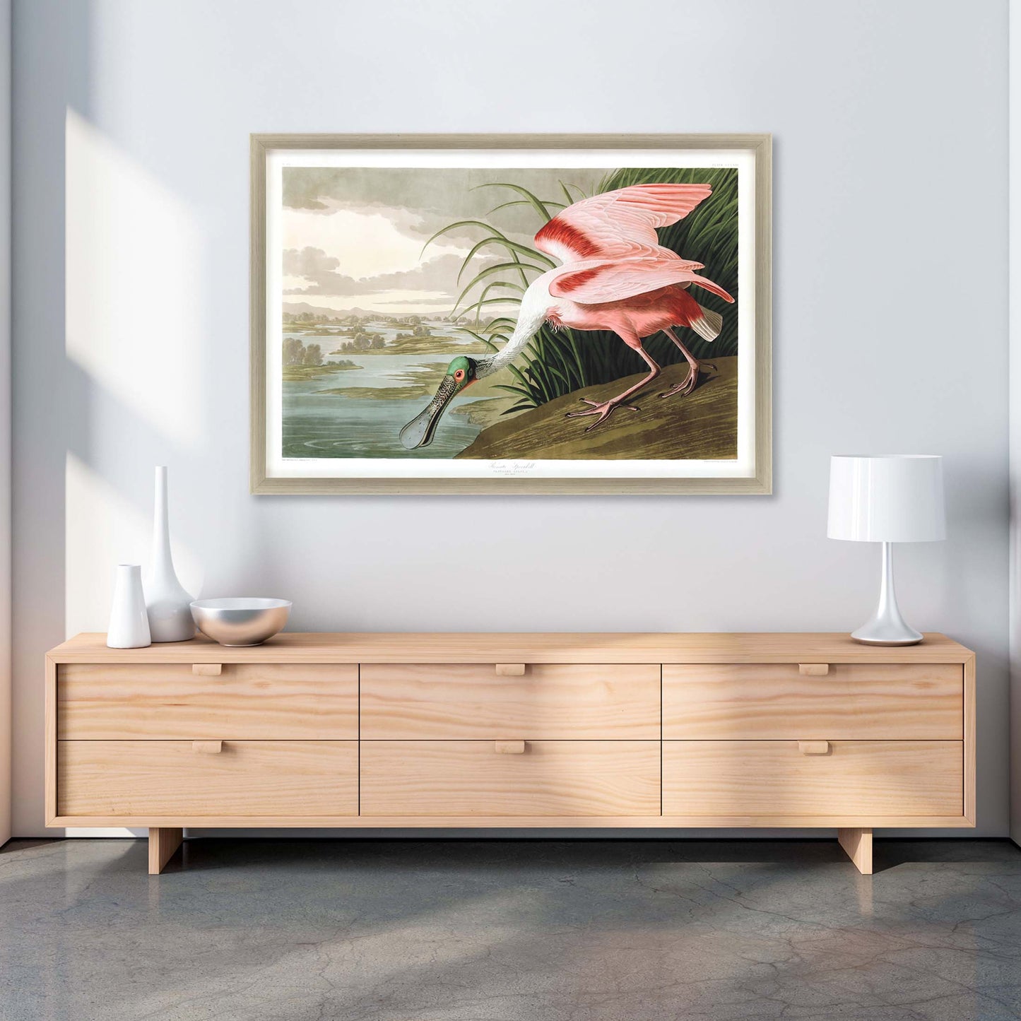 Paragon Roseate Spoonbill
