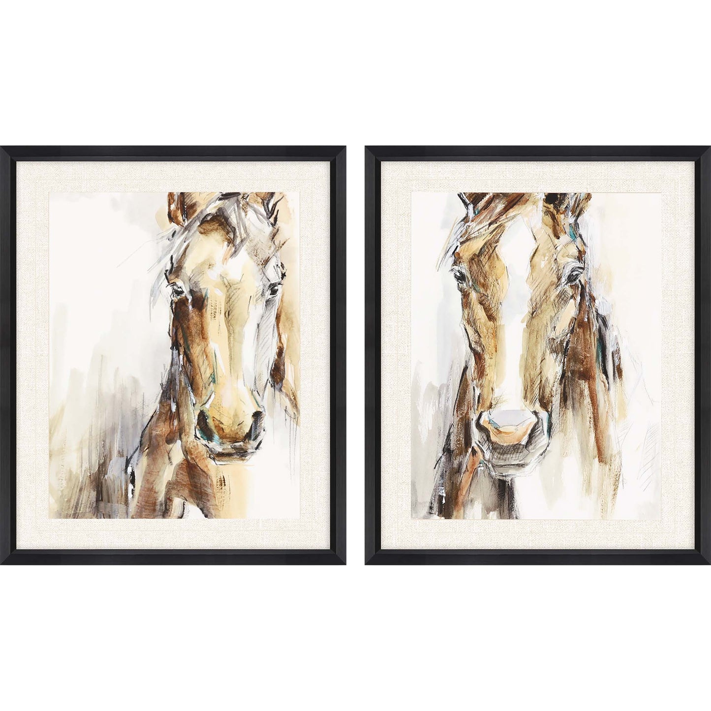 Paragon Gift Horse S/2