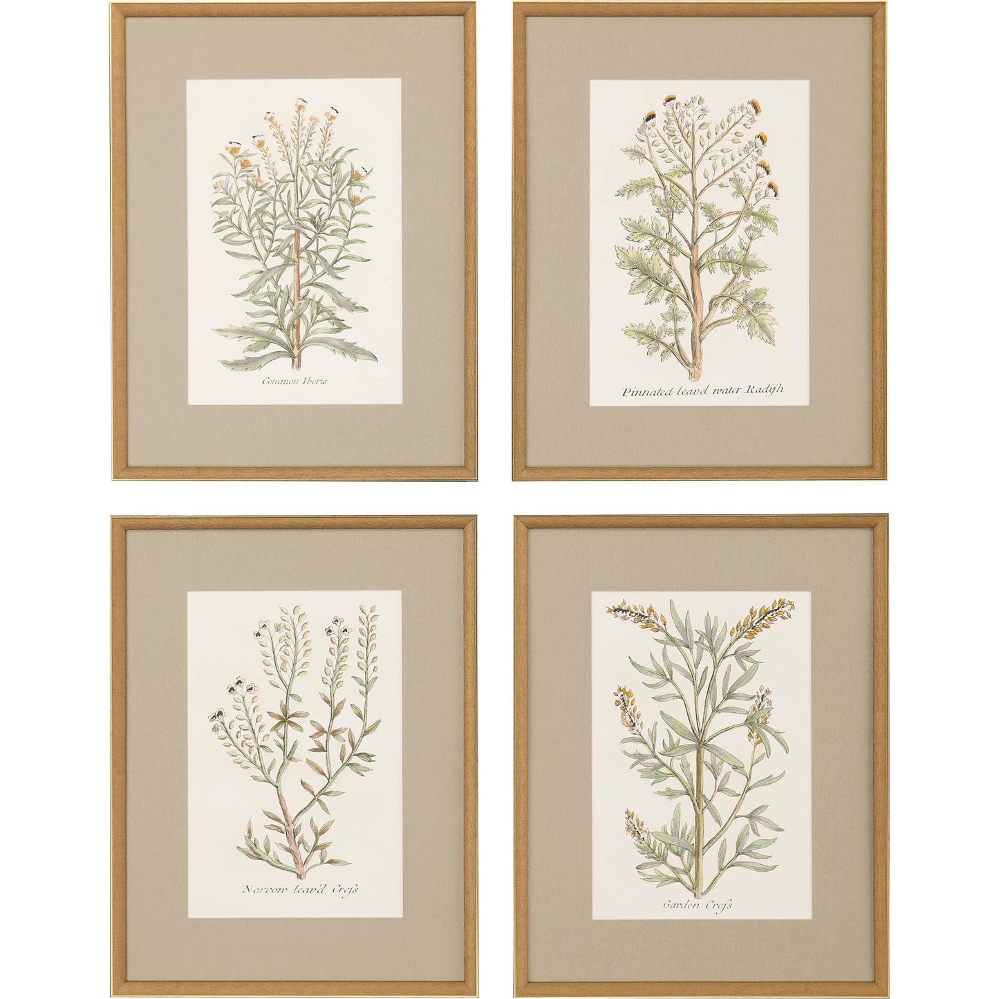Paragon Botanical Plants S/4