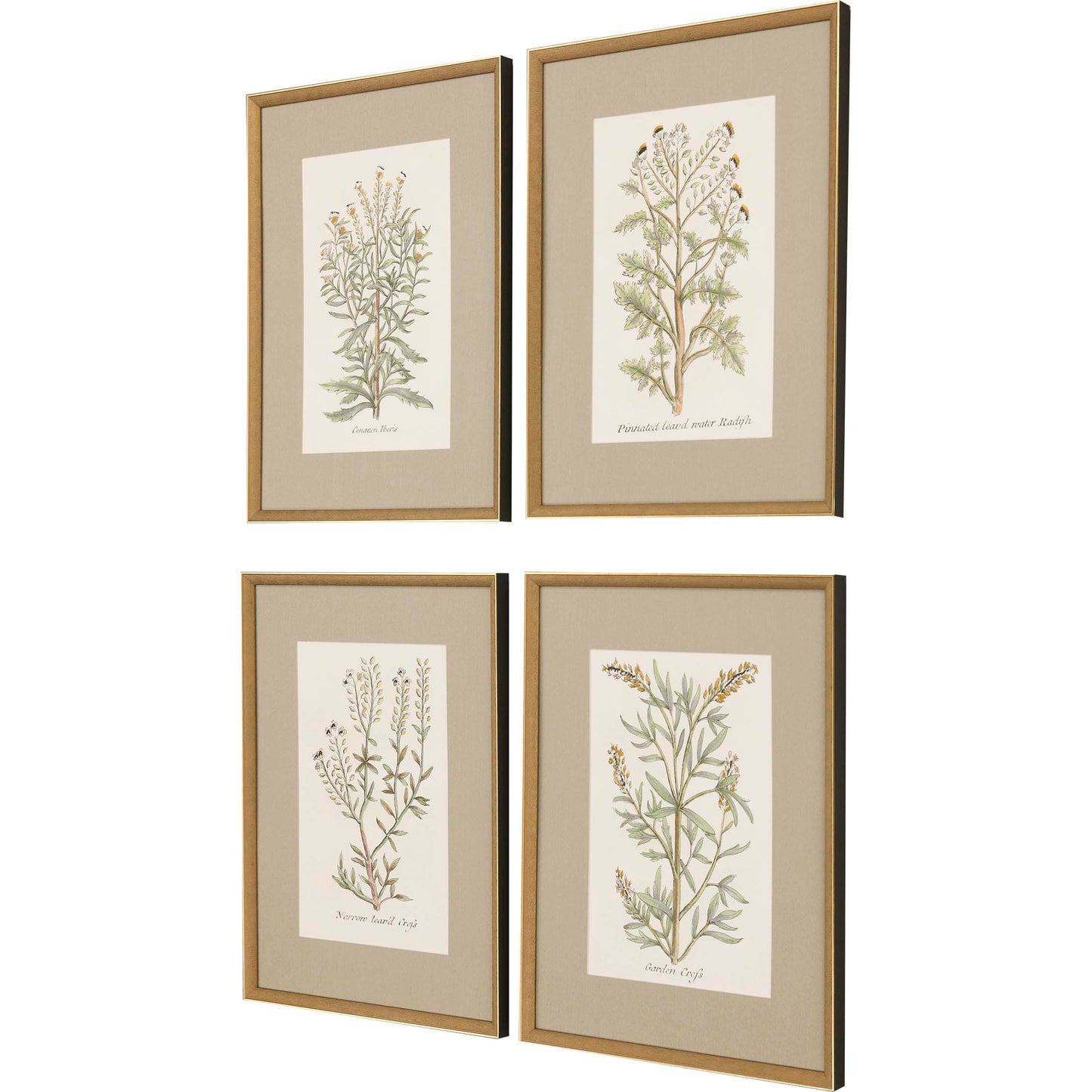 Paragon Botanical Plants S/4