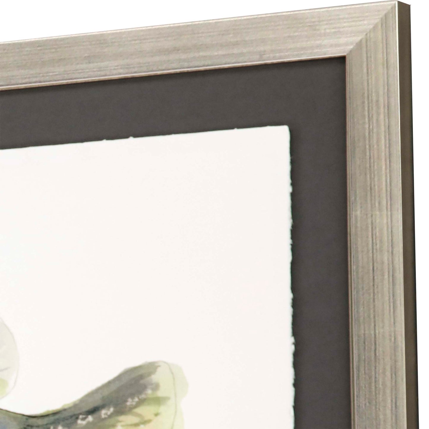 Paragon Blue Gill/Crappie S/2