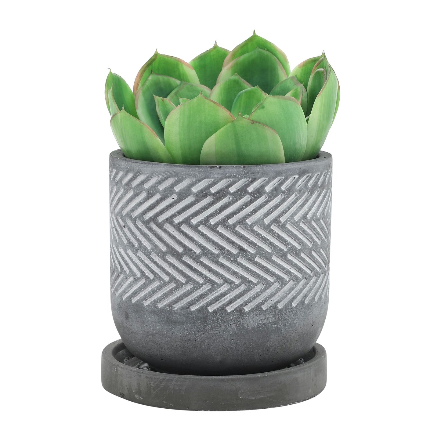 Cem, 6" Tribal Planter W/ Saucer, Gray