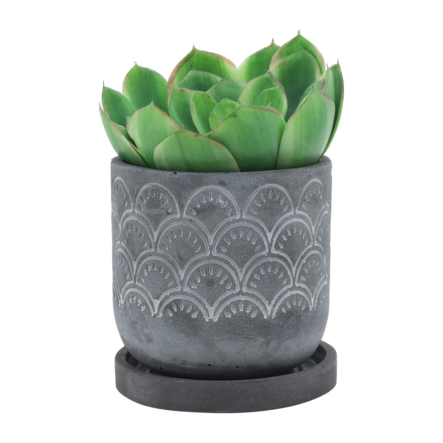 Cem, 6" Fan Planter W/ Saucer, Gray