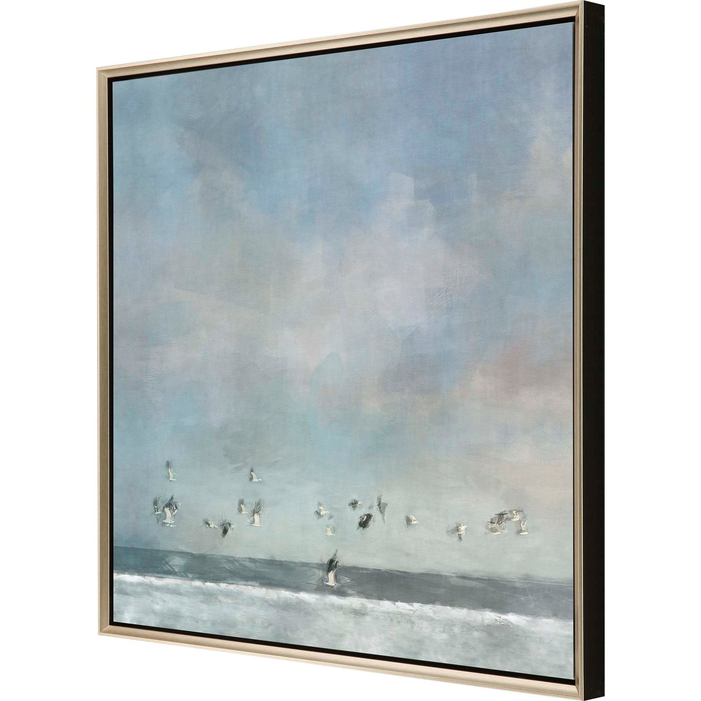 Paragon Birds Passing