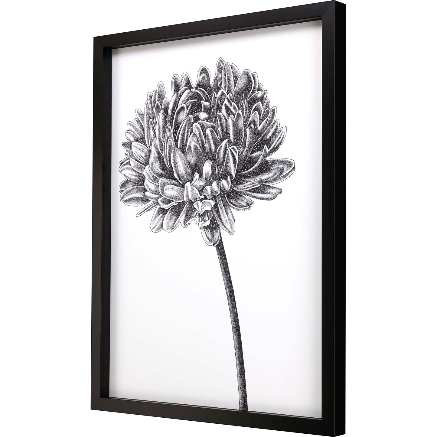 Paragon Simple Floral - Bud