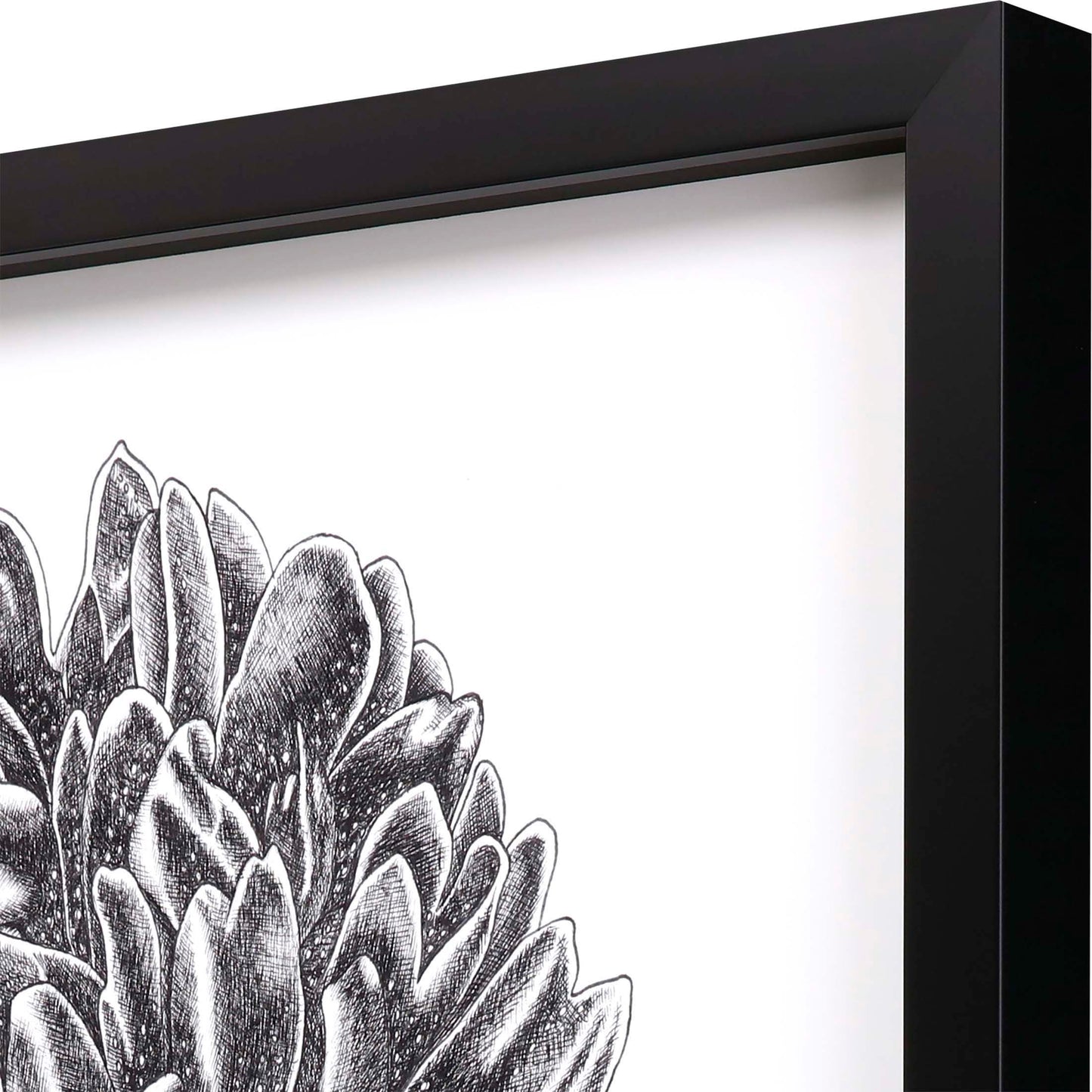 Paragon Simple Floral - Bud