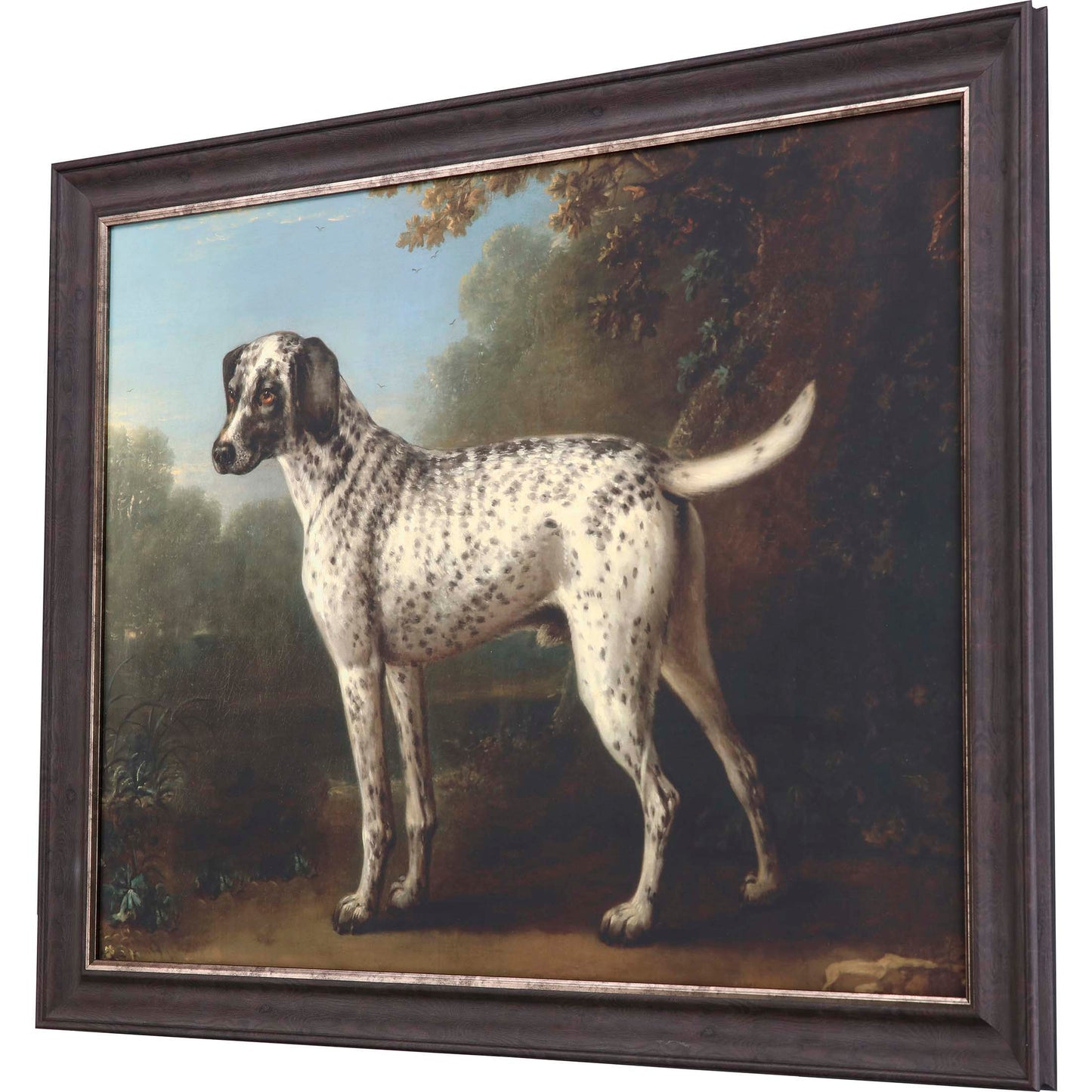 Paragon Grey Spotted Hound