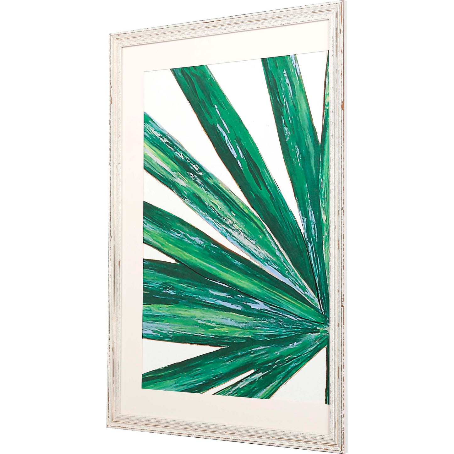 Paragon Frond I