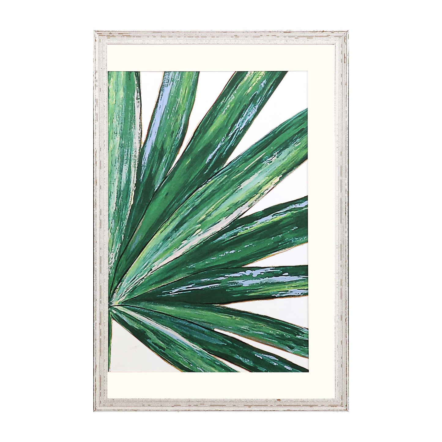 Paragon Frond II