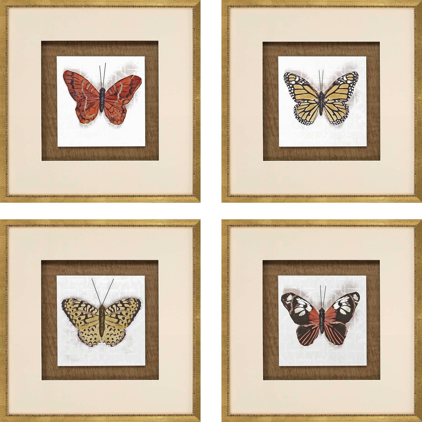 Paragon Butterfly Study S/4