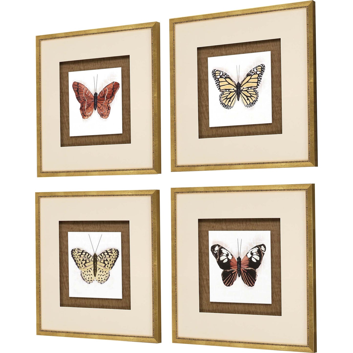 Paragon Butterfly Study S/4