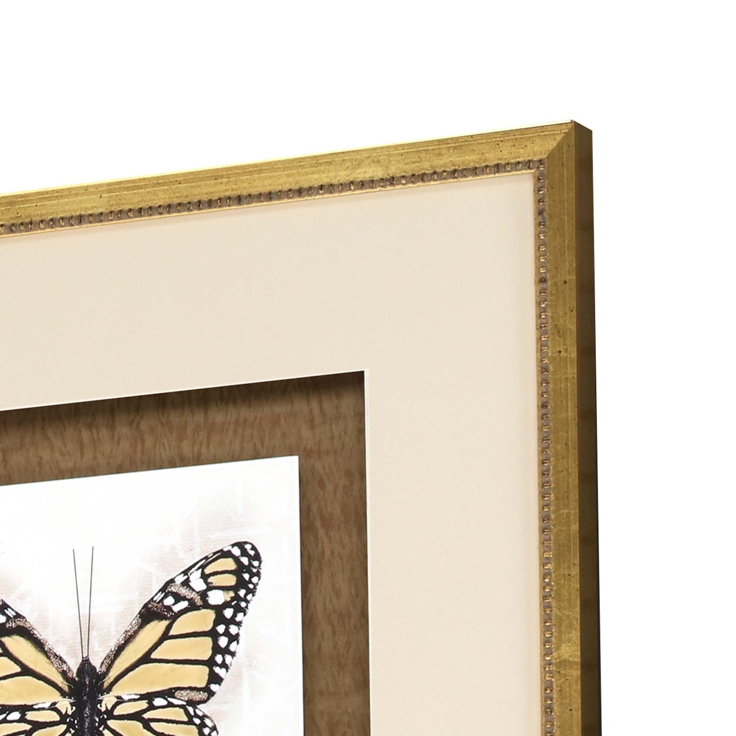 Paragon Butterfly Study S/4