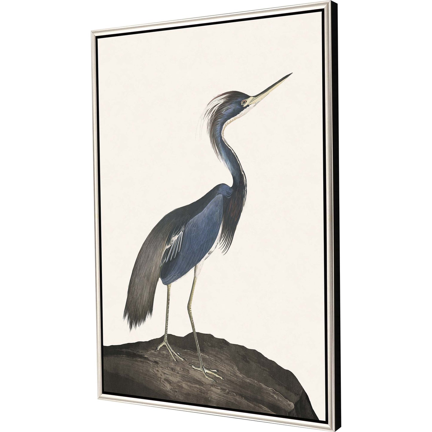 Paragon Great Heron I