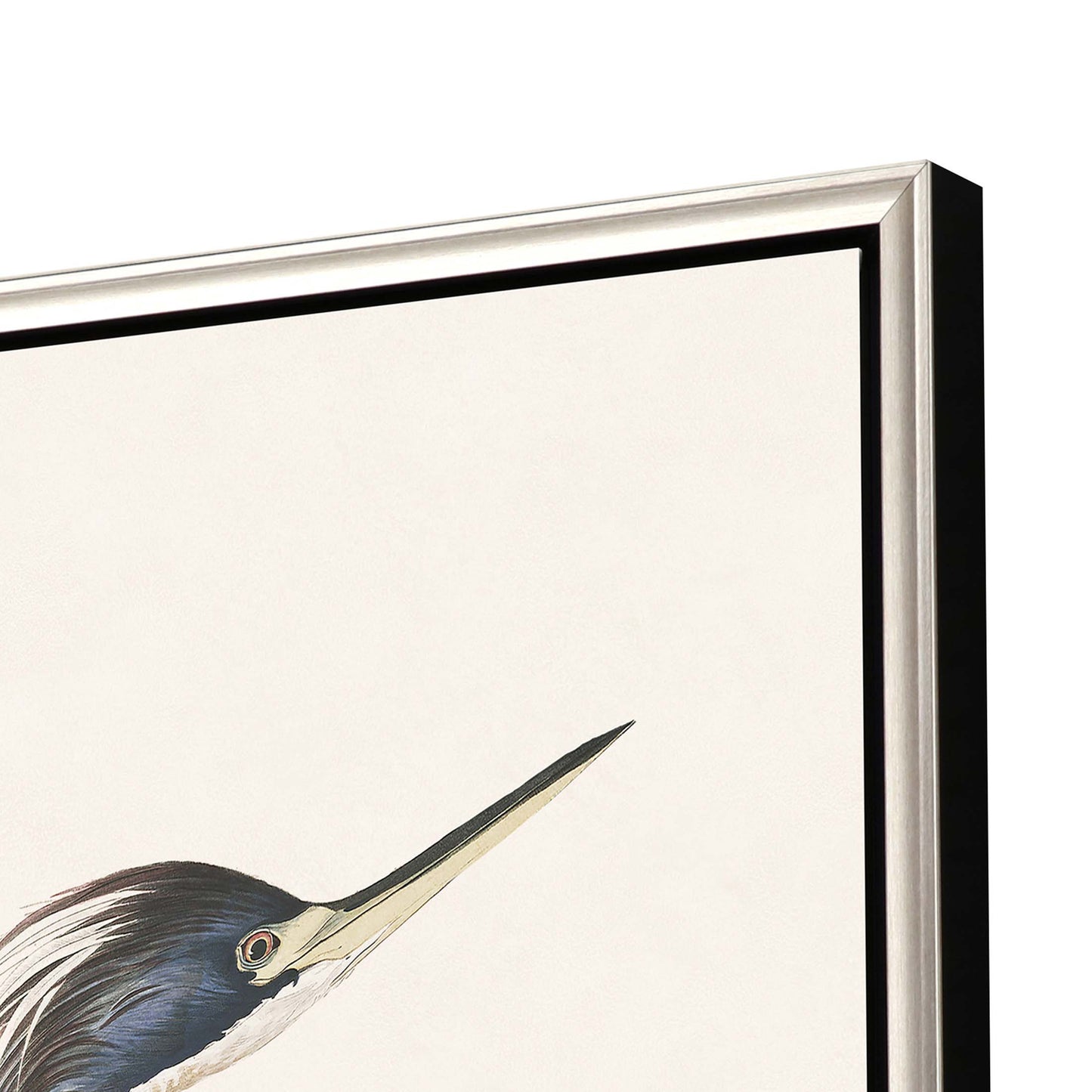 Paragon Great Heron I