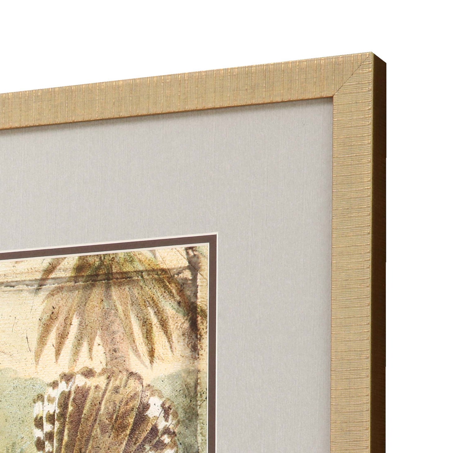 Paragon Ornamental Bird II S/2