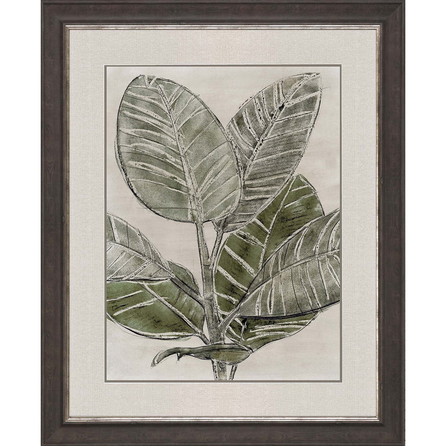 Paragon Plant Life - Grow