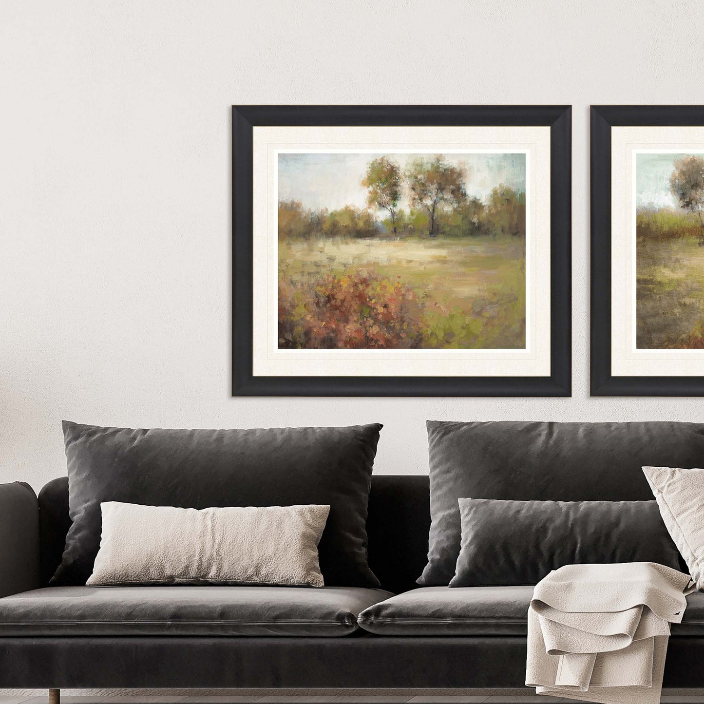 Paragon Golden Meadow I