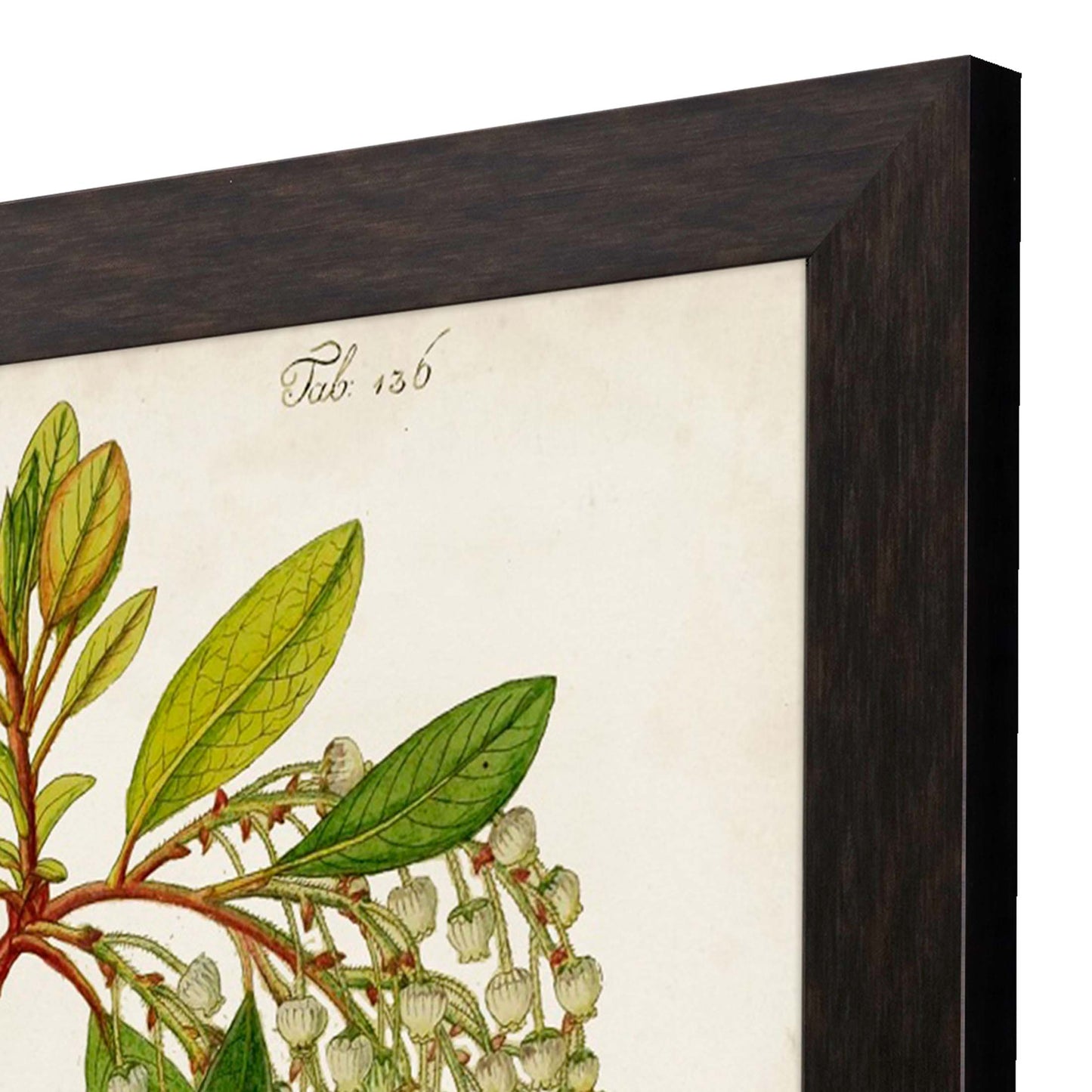Paragon Antique Greenery IV