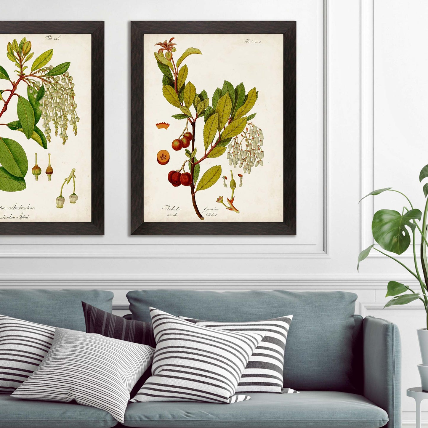 Paragon Antique Greenery III