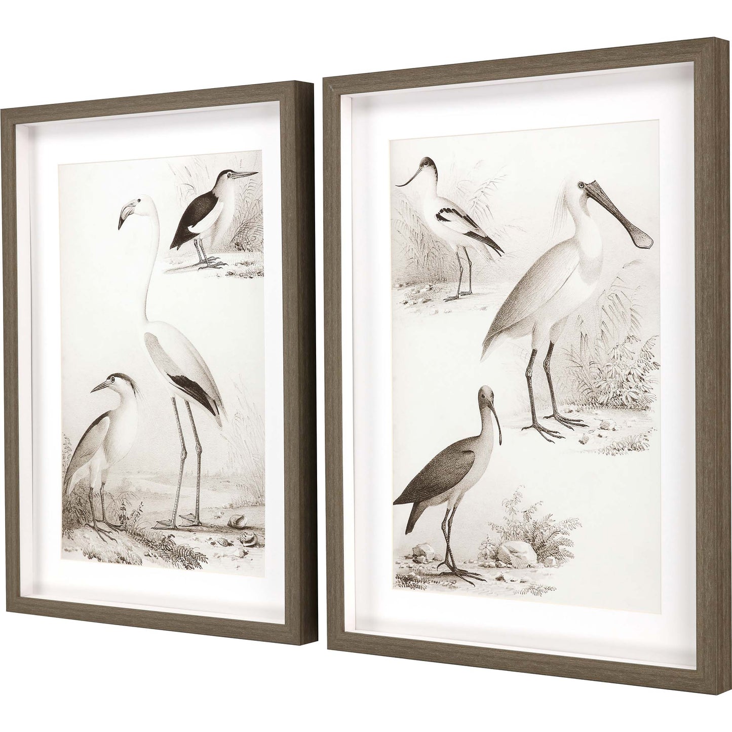 Paragon Sepia Water Birds I S/2
