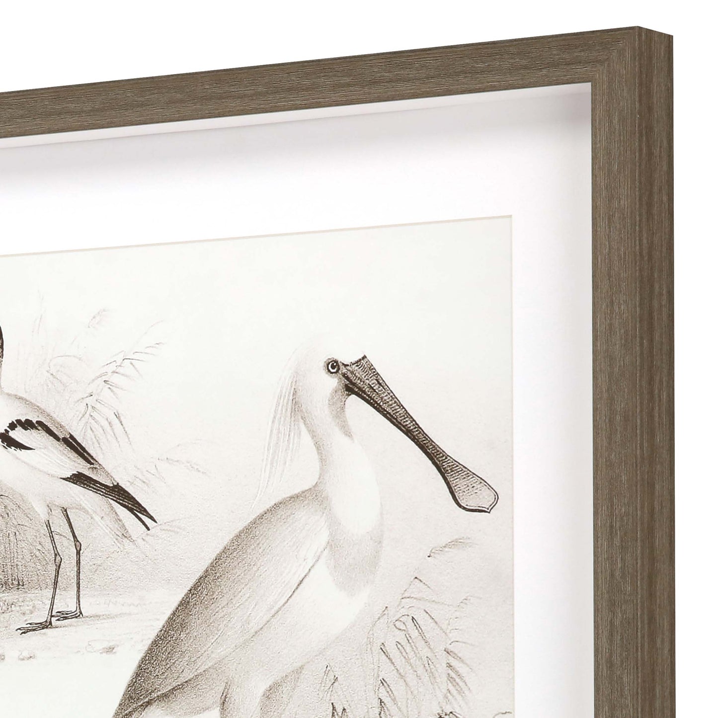 Paragon Sepia Water Birds I S/2