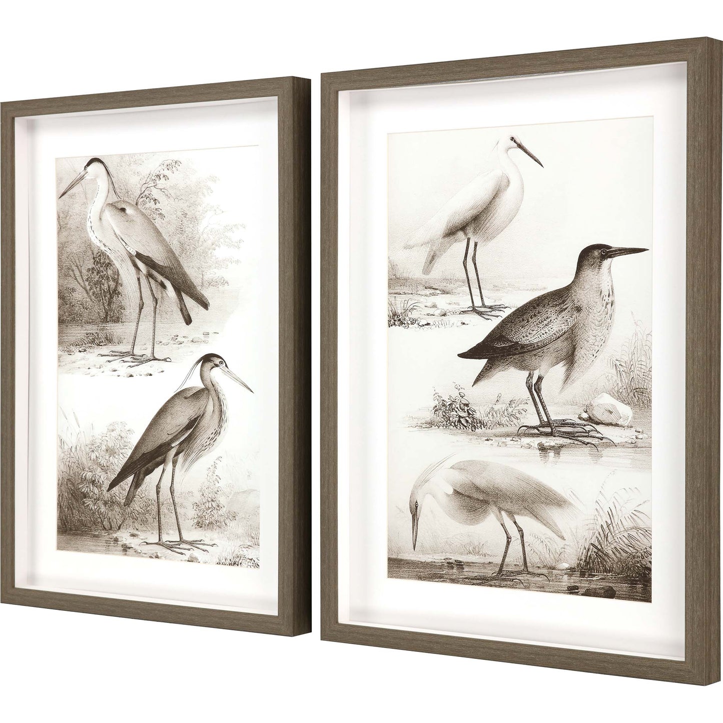 Paragon Sepia Water Birds II S/2