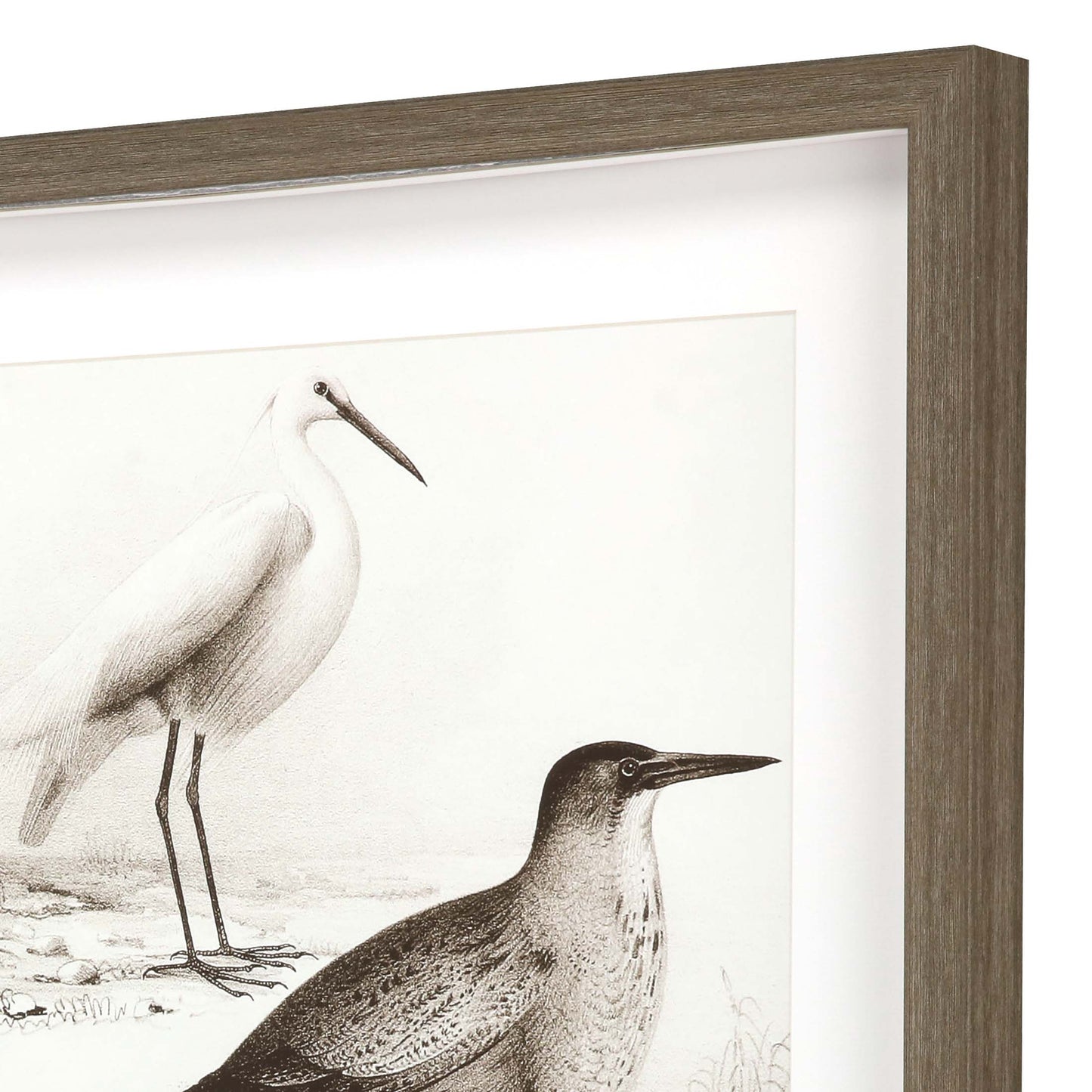 Paragon Sepia Water Birds II S/2
