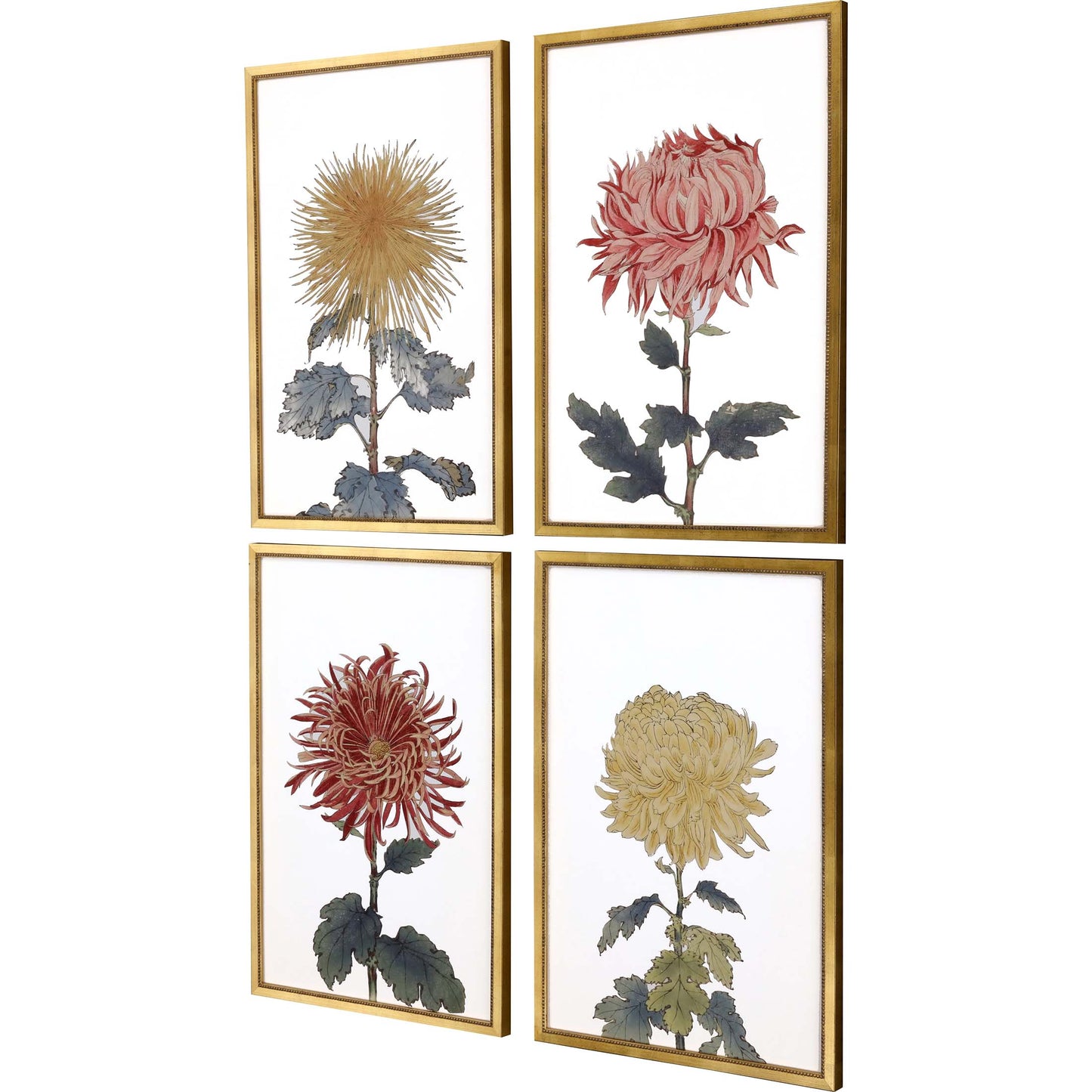Paragon Chrysanthemum S/4