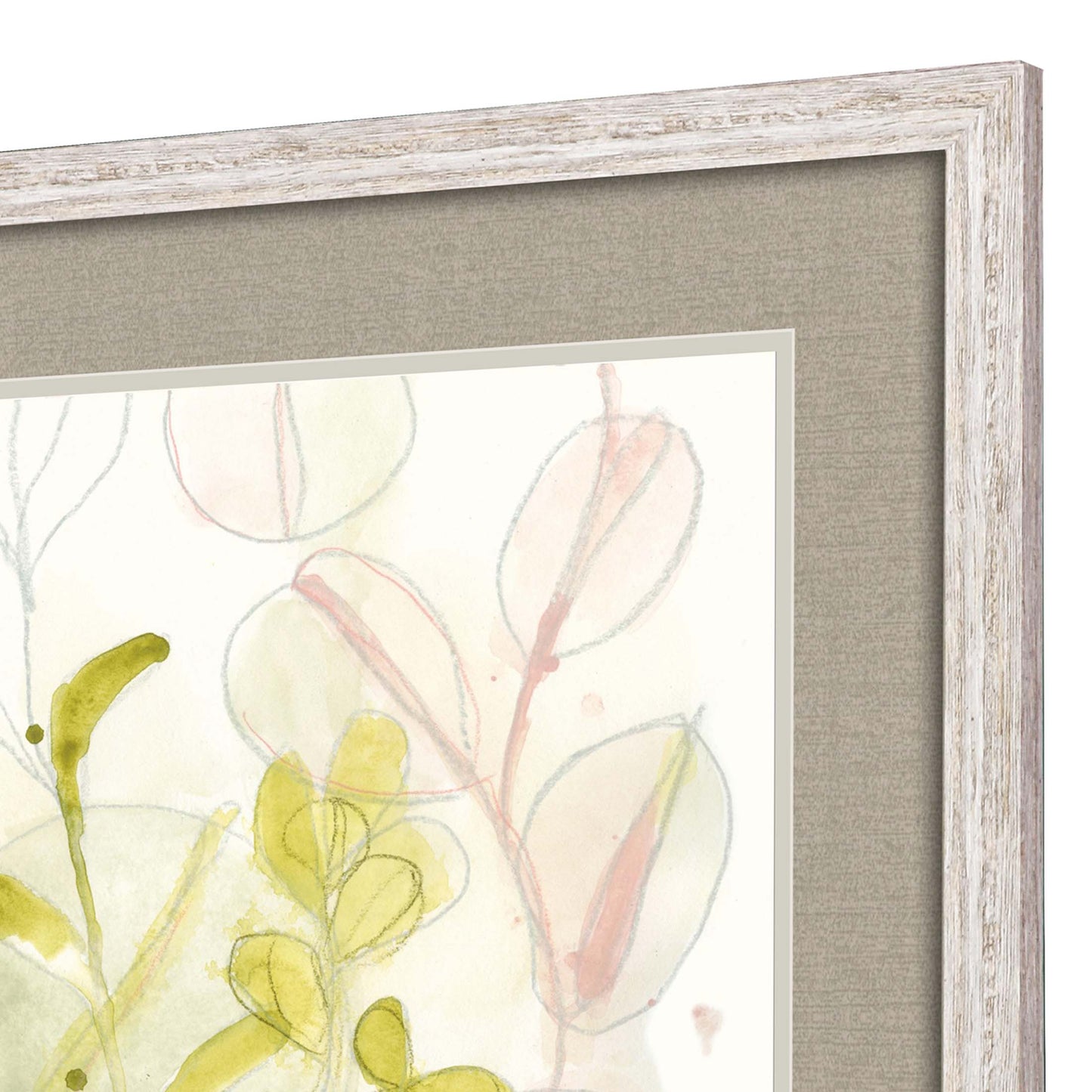 Paragon Celadon Trace S/2
