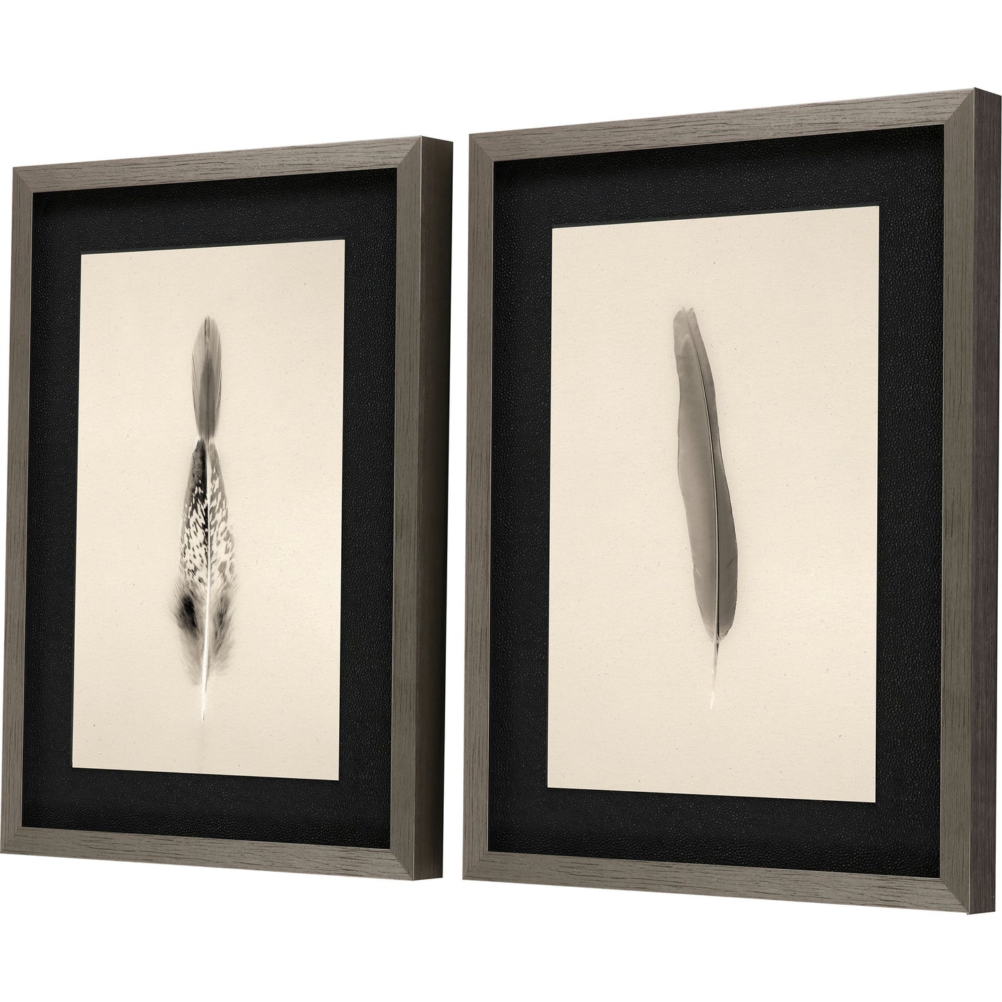 Paragon Floating Feathers I S/2