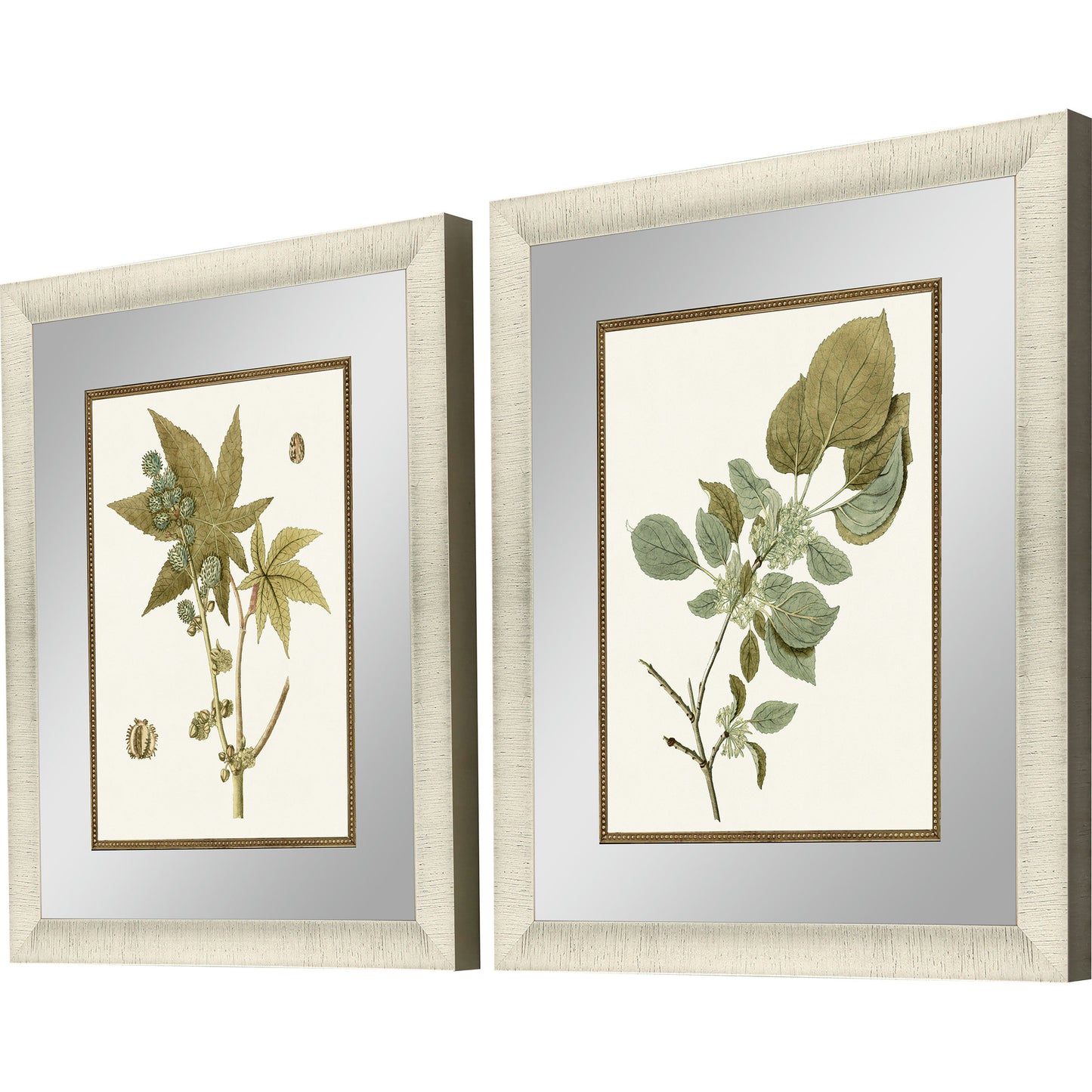 Paragon Botanical Leaf I S/2