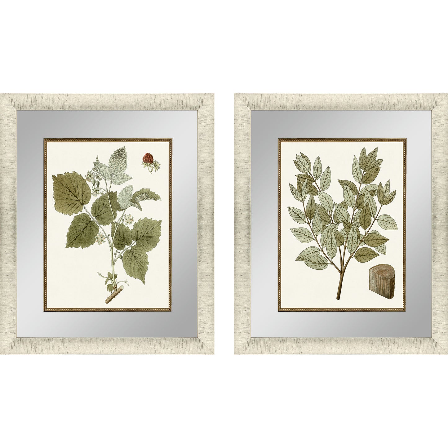 Paragon Botanical Leaf II S/2
