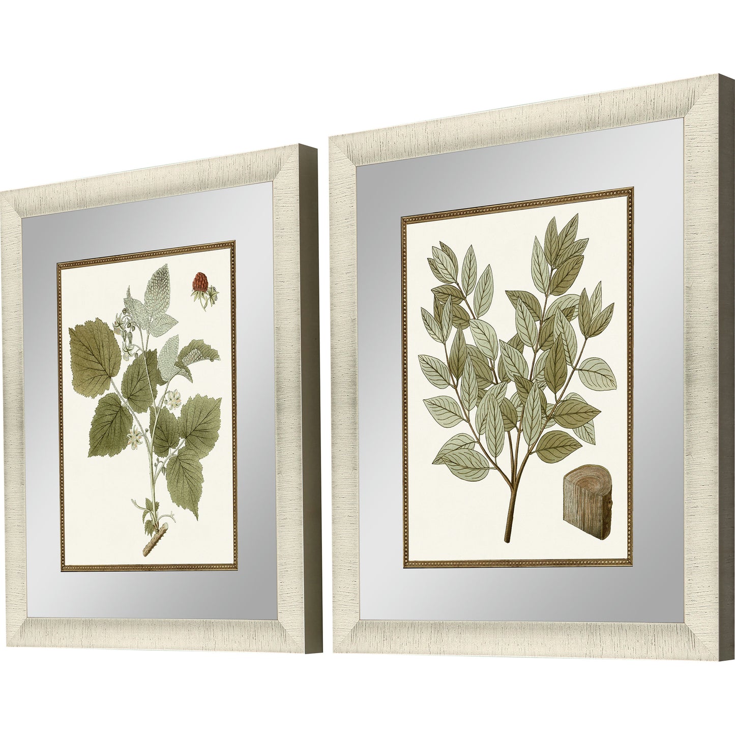 Paragon Botanical Leaf II S/2