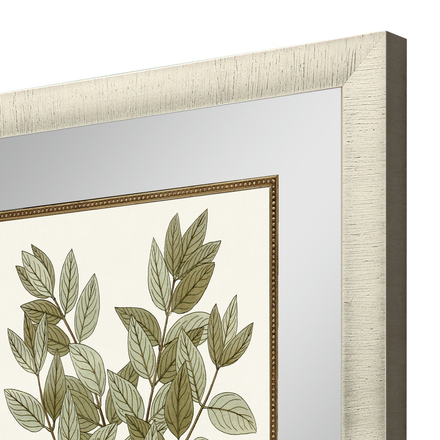 Paragon Botanical Leaf II S/2