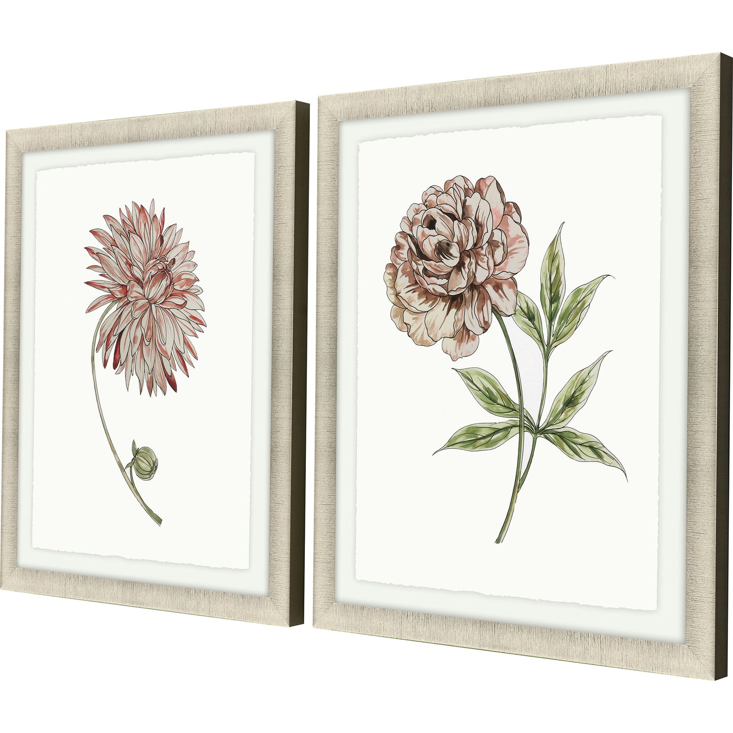 Paragon Floral Beauty II S/2