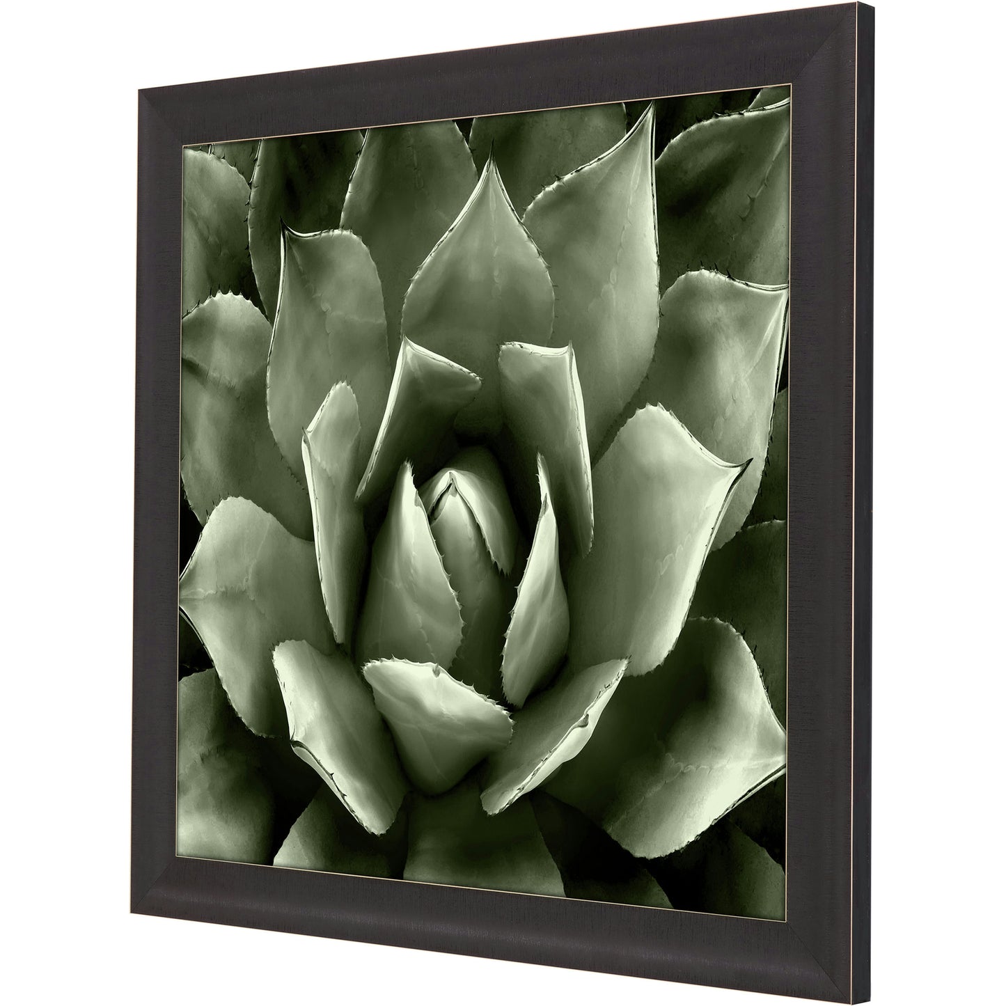 Paragon Green Succulent II