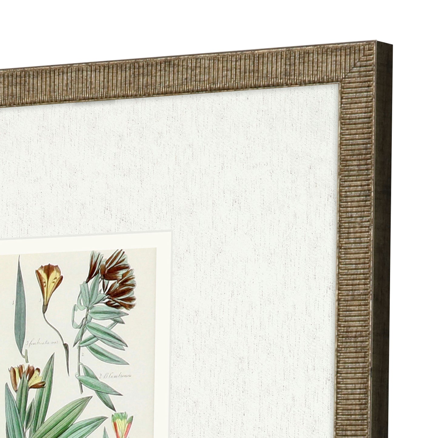 Paragon Antique Botanical I S/3