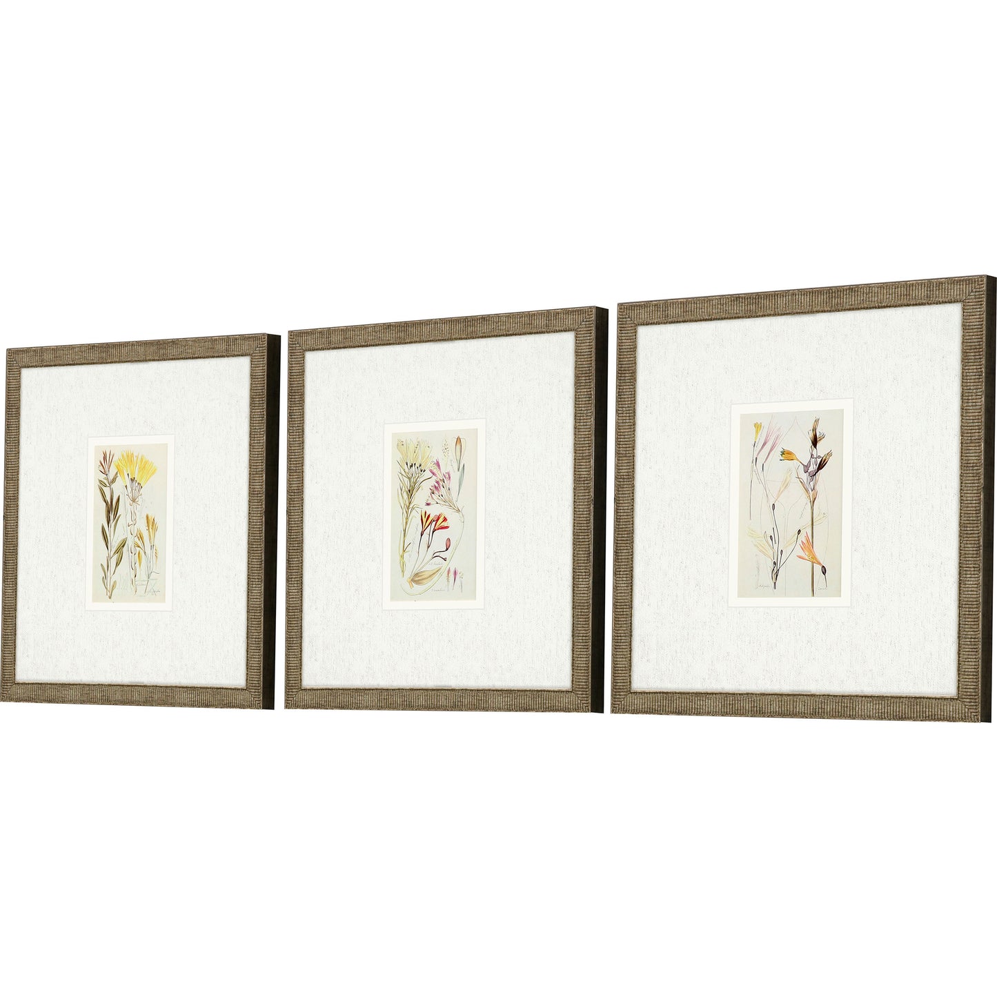Paragon Antique Botanical II S/3