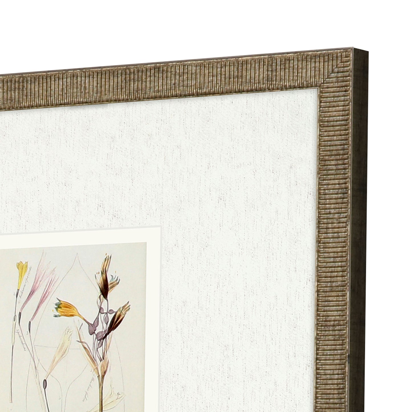 Paragon Antique Botanical II S/3