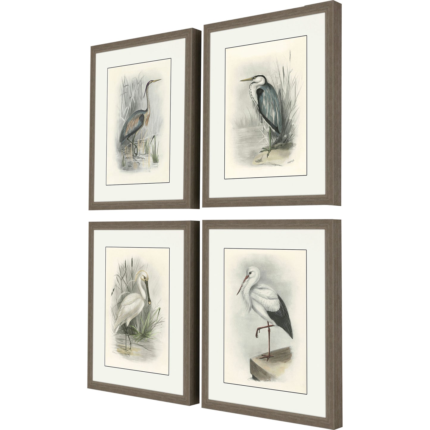 Paragon Birds S/4
