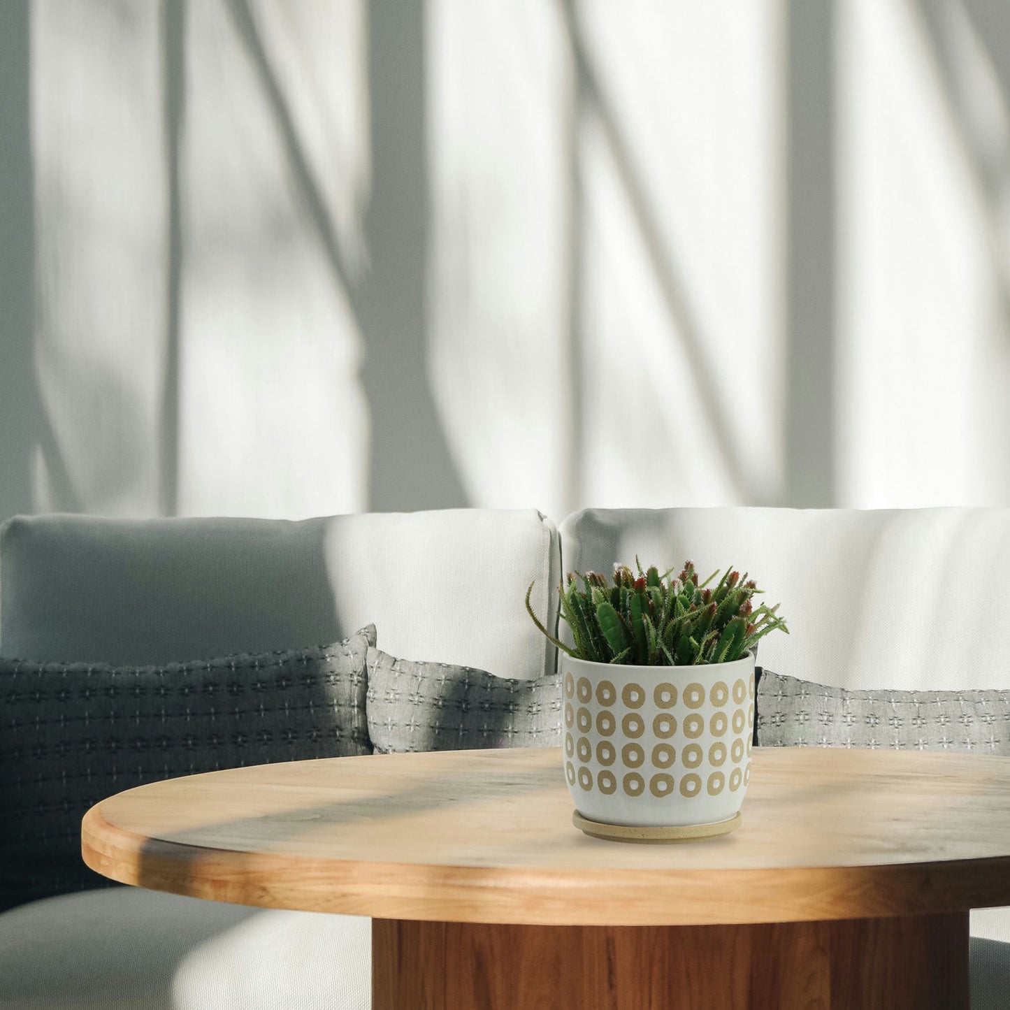 8" Circles Planter W/ Saucer, White