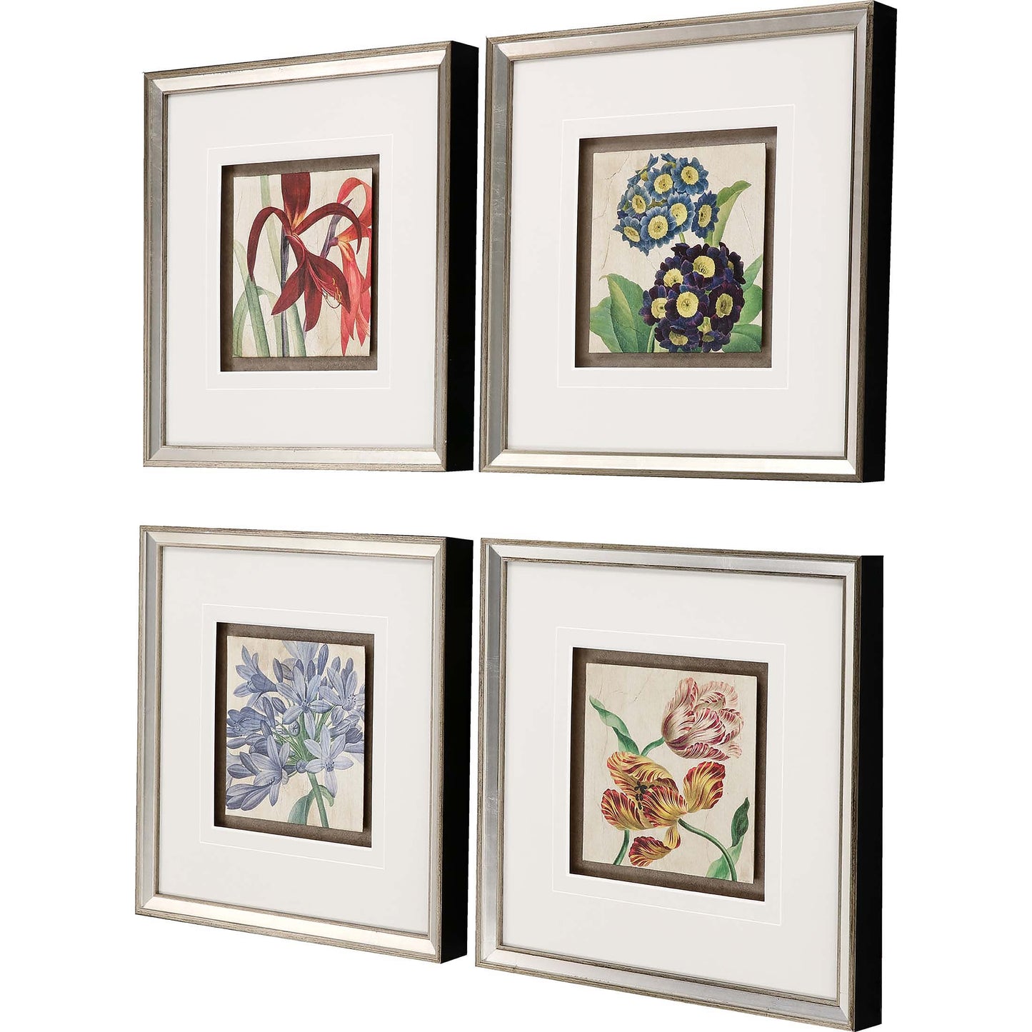 Paragon Heirloom Florals III S/4