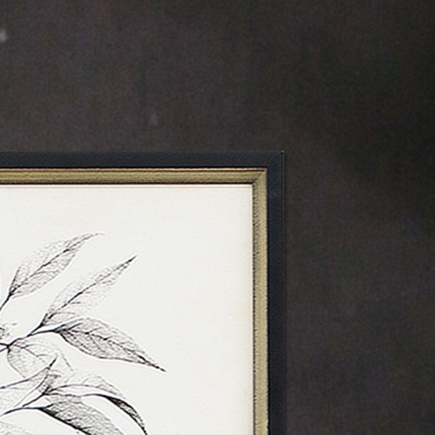 Paragon Botanicals II S/2
