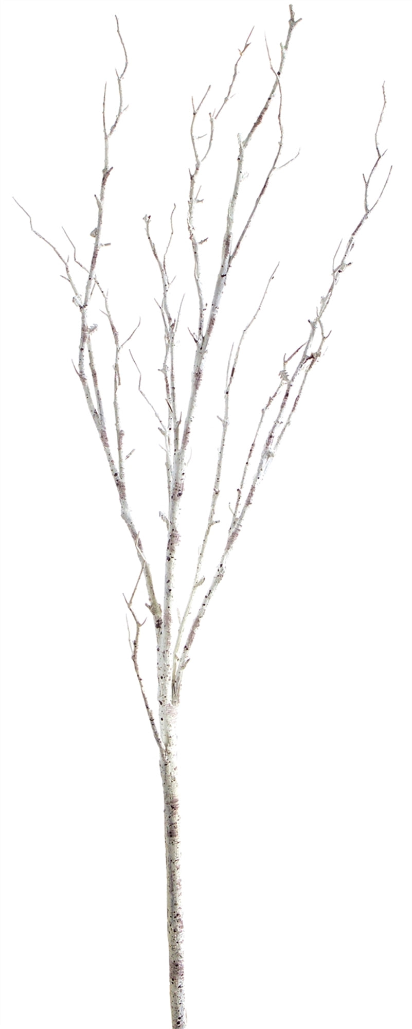 Birch Branch (Setof 12) 42"L Plastic