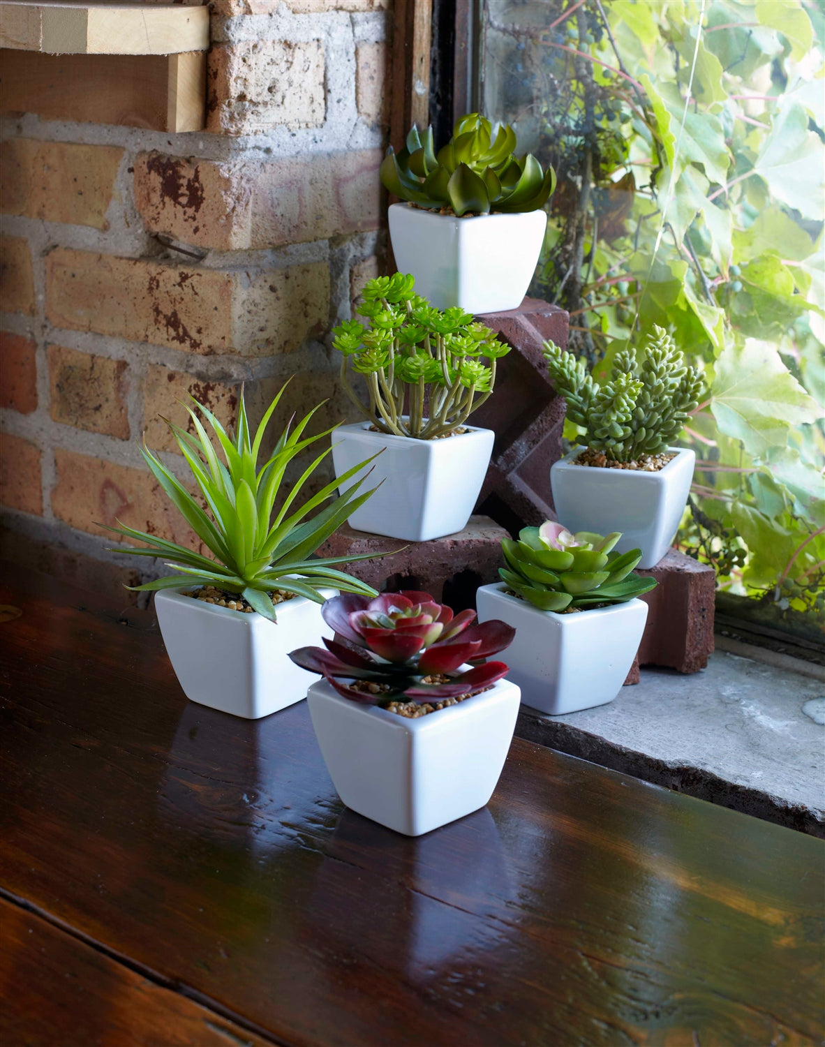 Potted Succulent (Set Of 6) 7"H Ceramic/Plastic