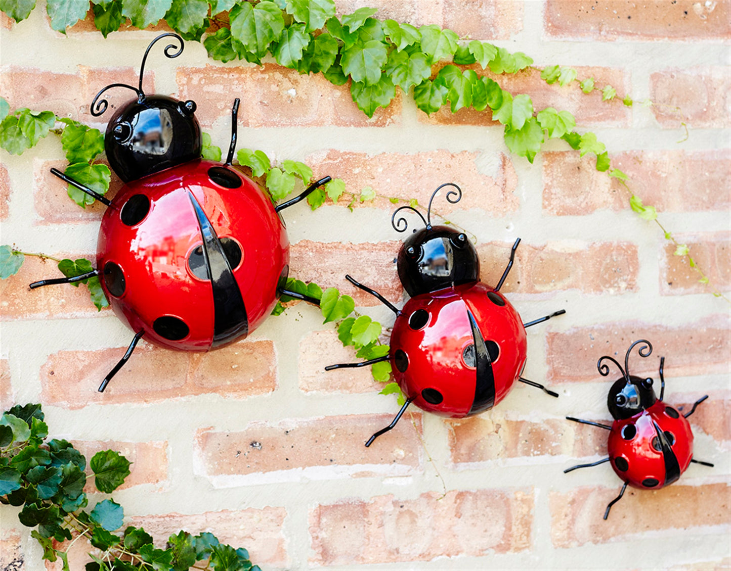 Wall Mountable Ladybugs (Set Of 6) 3.75"H, 3"H, 2.25"H