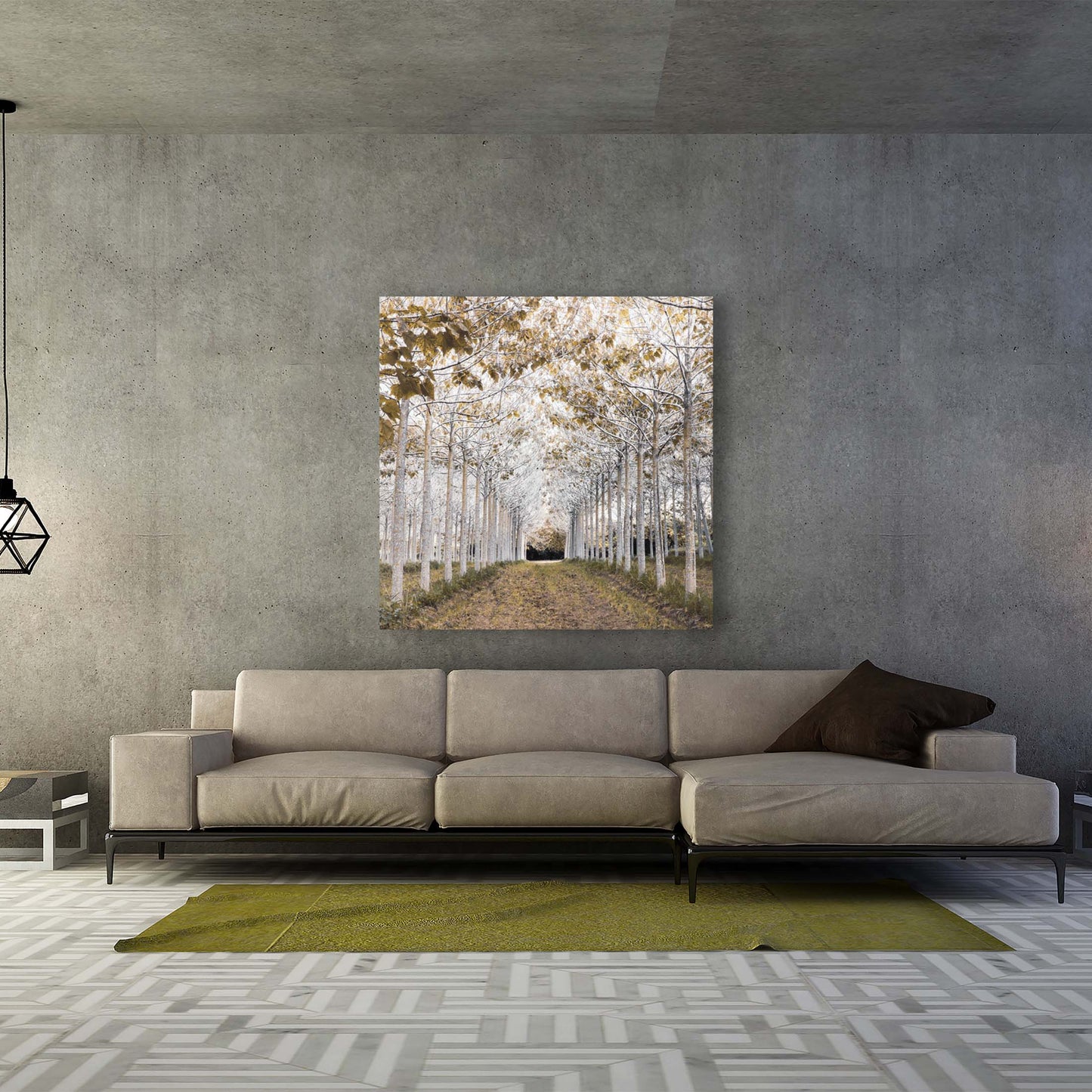 Paragon White - Gallery Wrap